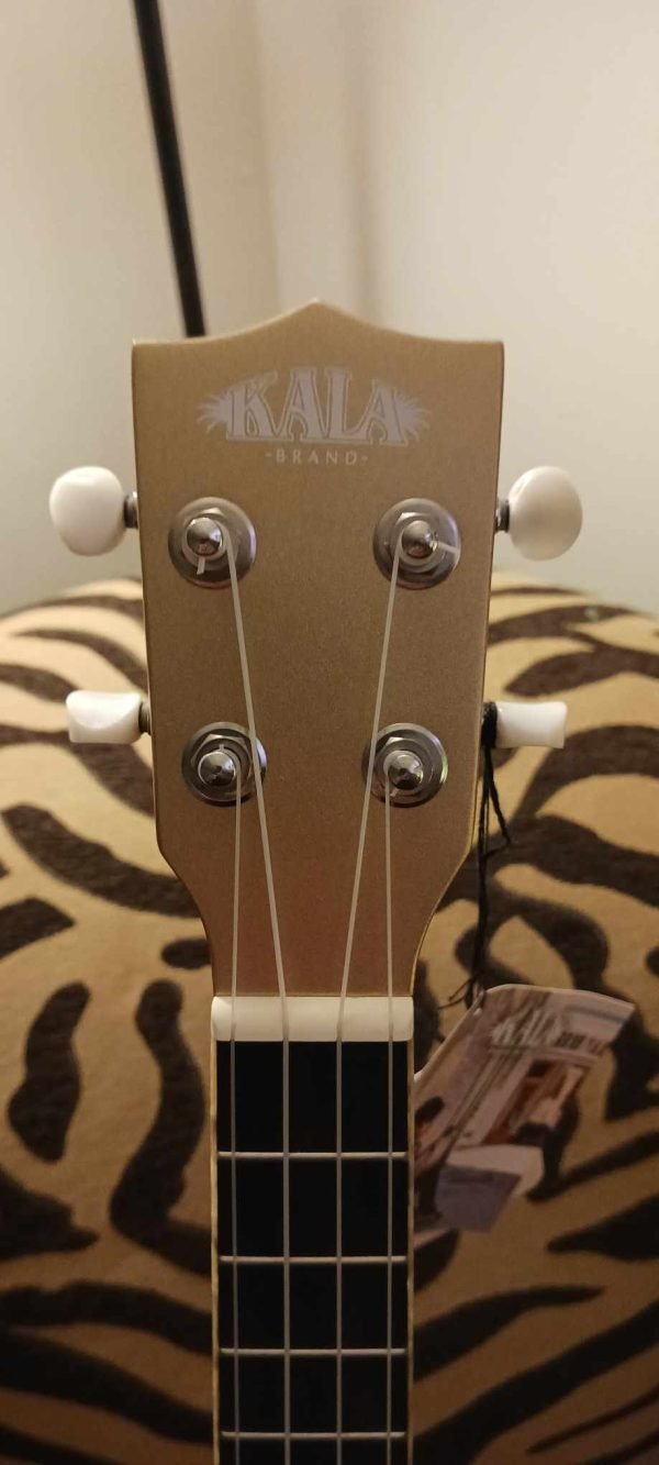Kala KA-JTE ElectricArchtop - Image 8