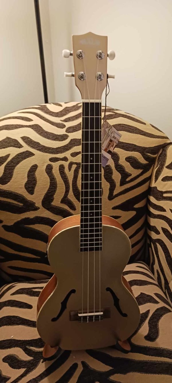 Kala KA-JTE ElectricArchtop - Image 7