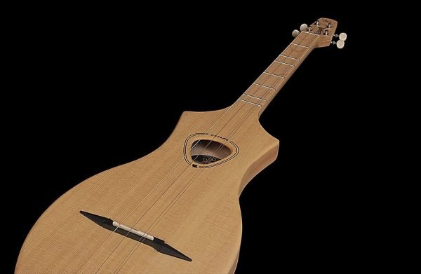 Seagull Merlin Dulcimer