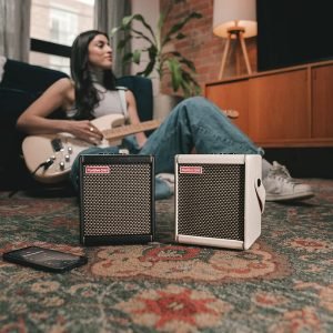 Portable and versital Spark Amp