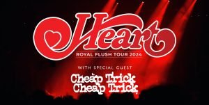 Heart in Greenville SC