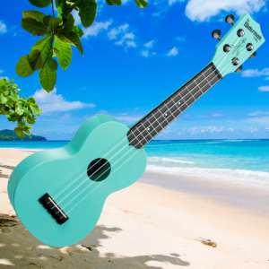 waterman travel ukulele waterproof ukulele